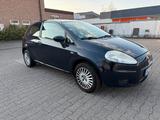 Fiat Punto 1.2l TÜV07.27 - Fiat Punto in Bonn