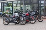 Triumph Trident 800 / Die Neue! - Triumph Trident 800