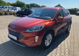 Ford Kuga Titanium *PDC mit Kamera*Frontkamera* - Ford: Orange, Ka