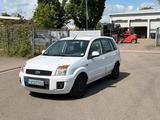 Ford Fusion 1,4 16V Ambiente/Klima - gebrauchte Ford Fusion aus dem Jahr 2012