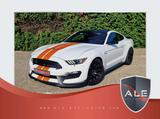 Ford Mustang Original Shelby GT 350 5.2 V8 Kein MUSTA - Ford Mustang: Gt350