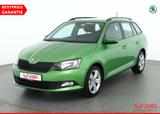 Skoda Fabia Combi 1.0 MPI Cool Plus Klima Sitzheizung - Skoda: Grün