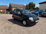 Fiat Panda - Fiat Panda in Halle