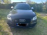 Audi SQ5 3.0 TDI competition tiptronic quattro - - Audi SQ5 Gebrauchtwagen in Berlin