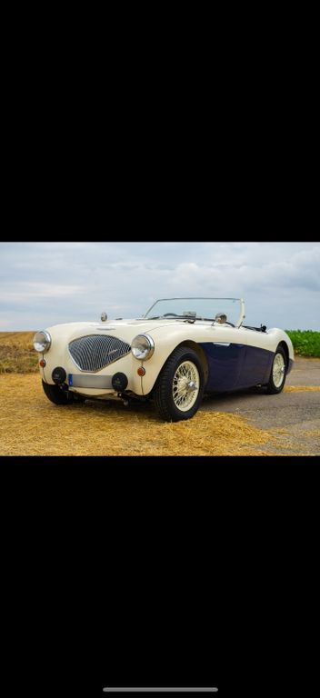 Austin Healey Andere