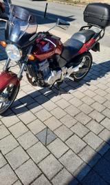 Honda CBF 500 - HONDA CBF 500