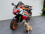 Honda CBR 1000 RR SP Fireblade Repsol Facelift - HONDA REPSOL