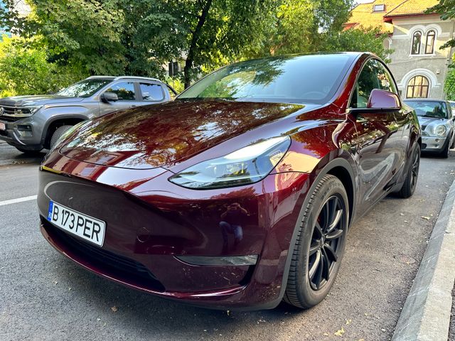 Tesla Model Y Performance