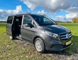 Mercedes-Benz V 220d RISE lang / 7-SITZE / AHK / APPLE CARPLAY - gebrauchte Mercedes-Benz V 220 aus dem Jahr 2022