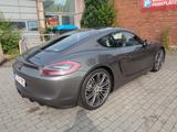 Porsche Cayman GTS PDK - Porsche Gebrauchtwagen in Kiel