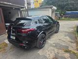 Alfa Romeo Stelvio 2.9 Bi-T. V6 375kW Quadrifoglio - Alfa Romeo Stelvio von privat
