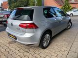 Volkswagen Golf  VII 1.2 TSI Cup BlueMotion * TÜV Neu * - Volkswagen Golf: Tsi Bluemotion