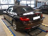 BMW 218d Cabrio Luxury Line Luxury Line - : Cabrio, Luxury