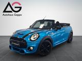 MINI Cooper S Cabriolet/ab 199 € mtl. - MINI: Metallic