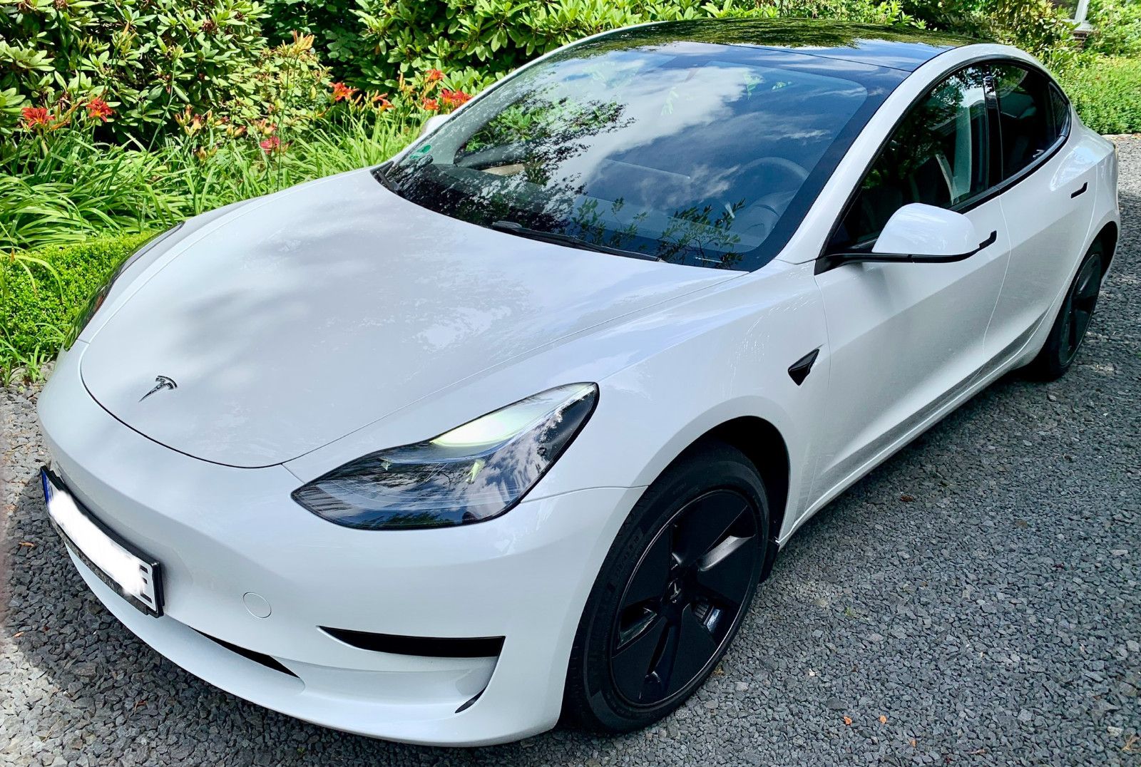 TESLA Model 3 LFP RWD AHK Matrix