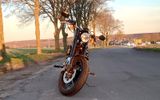 Harley-Davidson Sportster Roadster 1200 - Offers matching your search criteria