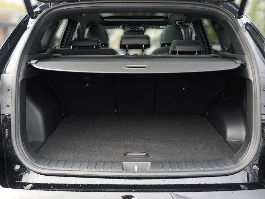 Fahrzeugabbildung Hyundai TUCSON FL HEV N Line Trittbretter Assist-P Pano