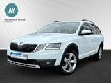 Skoda Octavia Combi Scout 4x4|Kamera|LED|Anhängerkppl. - Skoda Octavia: Scout Combi