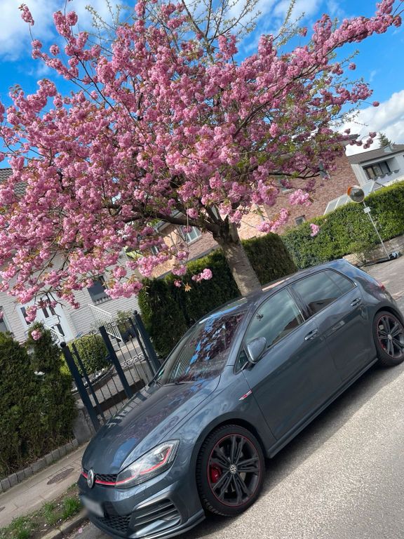 Image of Volkswagen Golf