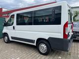 Peugeot Boxer Kombi 333 L1H1 Active Blue-HDi 110 1.HAND - Peugeot Boxer: L3