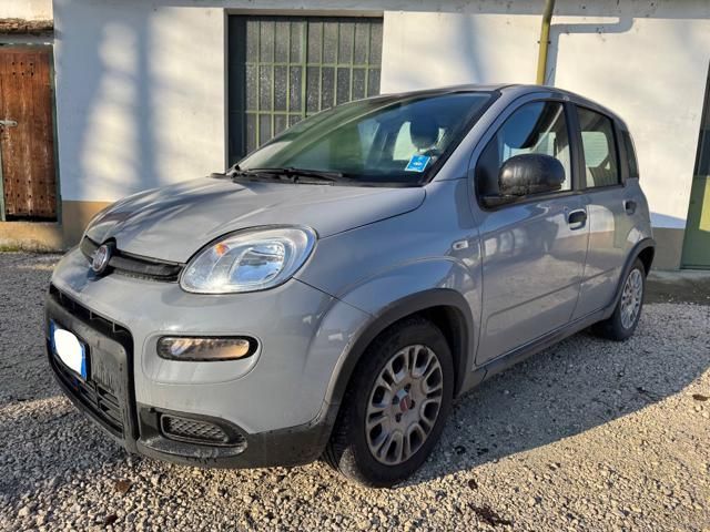 Image of Fiat Panda