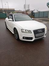 Audi A5 Cabrio 3.0L s-line - Audi A5 bis 5.000 Euro