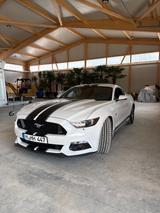 Ford Mustang 5.0 V8 GT 440 PS! Guter Zustand! TÜV neu - Ford Mustang in München