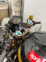 Aprilia RSV 1000 RR Factory - APRILIA FACTORY RSV 1000R