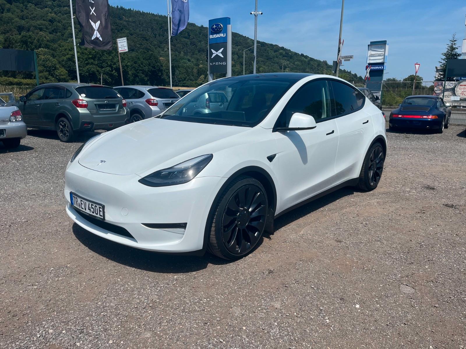 Tesla Model Y Performance
