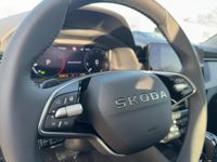 Skoda Kamiq - Vorschau Bild 17