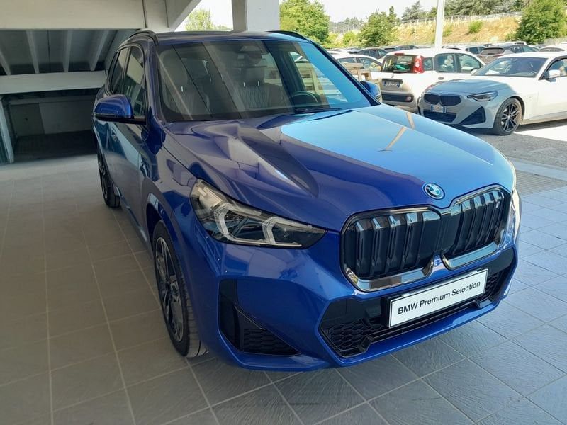 Other BMW X1 i xdrive 30 MSport