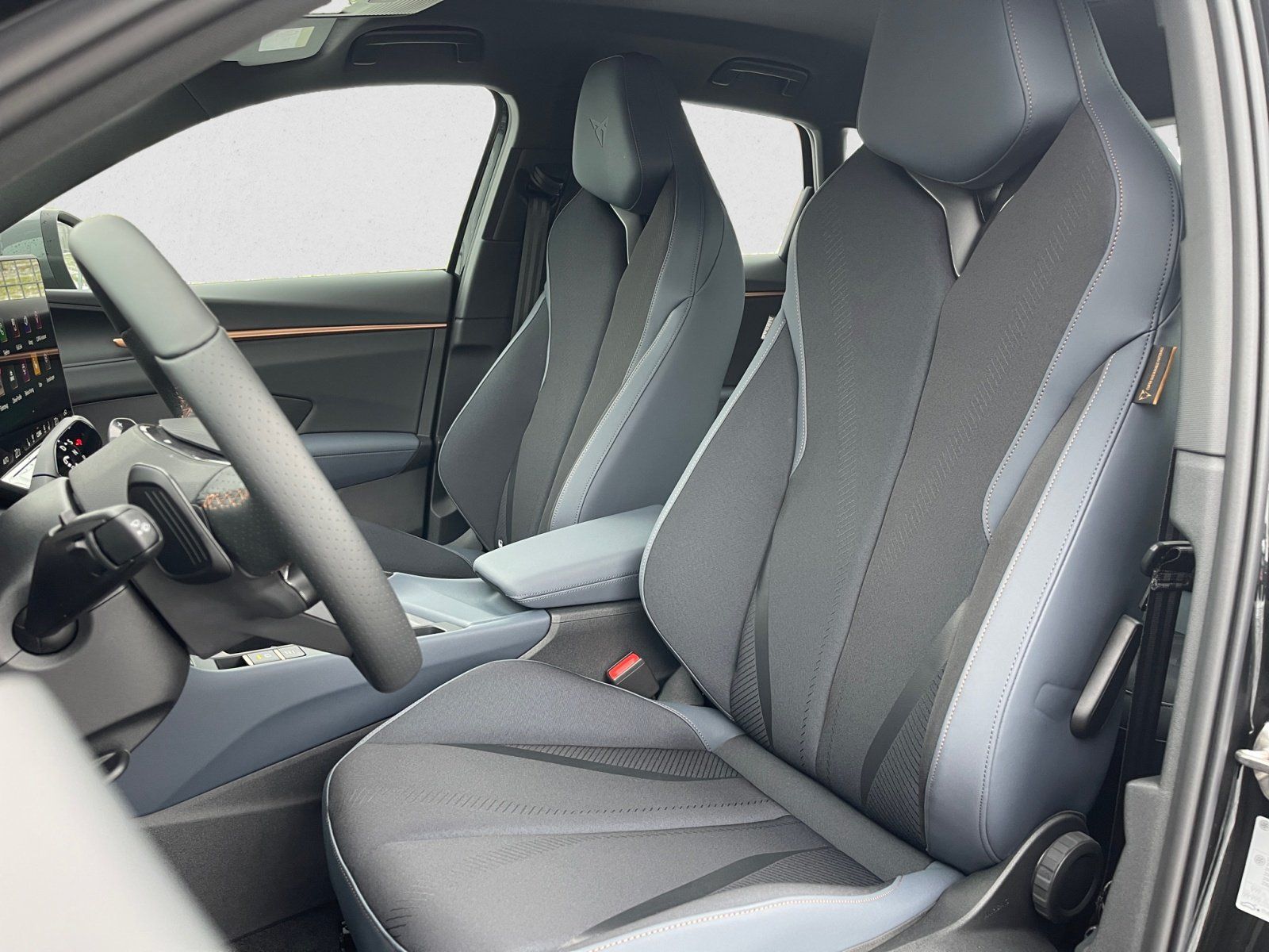 Cupra Terramar - Bild 8