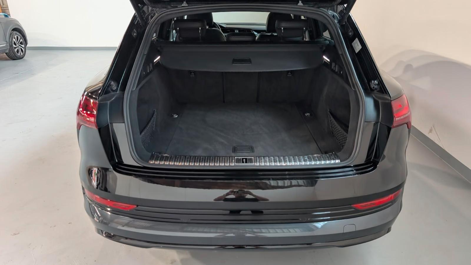 Audi e-tron 55 quattro advanced AIRKAMMEMOPANO20, миниатюра 9