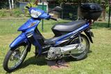 Suzuki Address, FL 125 SDW - KLEINKRAFTRAD VON 81 BIS 125 CCM