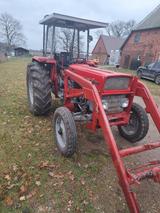 Massey Ferguson MF155 - Massey Ferguson LKWs