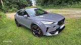 Cupra Formentor 2.0 TSI VZ 4Drive DSG, AHK, LED,Sounds - Cupra Formentor: Privatanbieter