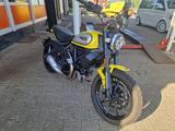 Ducati Scrambler 800 L3e-A2 Führerschein Wunschfarbe - DUCATI E SCRAMBLER