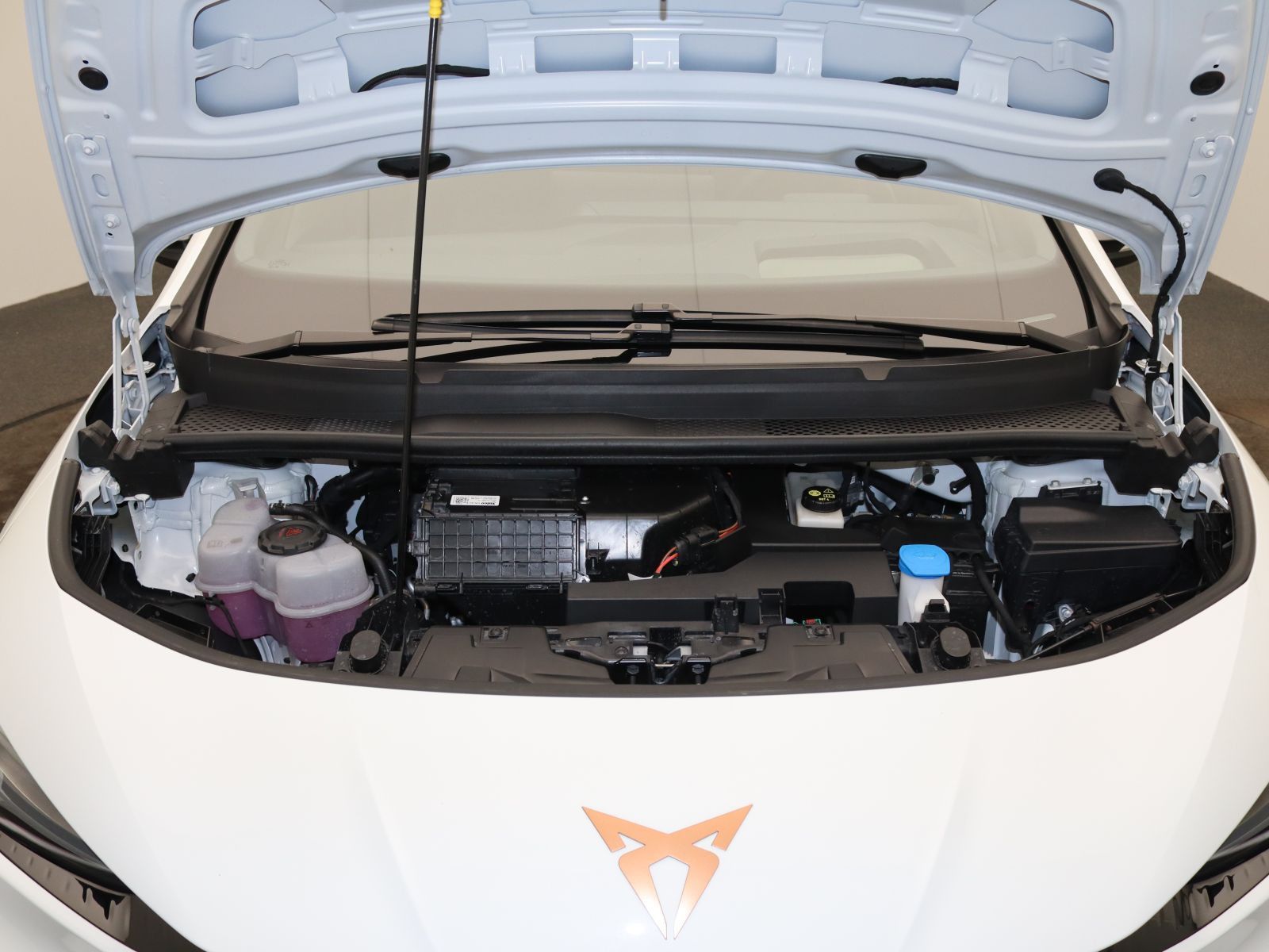 Cupra Born - Bild 18