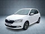 Skoda Fabia 1.0 TSI Clever SHZ PDC - Skoda Fabia: 1.0