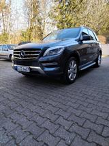 Mercedes-Benz Mercedes Benz ML350 4MATIC - Mercedes-Benz ML 350 Gebrauchtwagen in Stuttgart