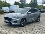 Ford Kuga ST-Line X Panorama Technologie Paket Winter - Ford Kuga Jahreswagen