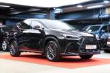 Lexus NX 350h Comfort - schwarze Lexus NX 350h