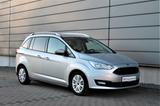 Ford Grand C-MAX 2.0TDCI Business Edition Navi Kamera - Ford Grand C-Max mit Diesel-Antrieb: Kleinbus, 2.0