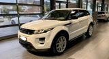 Rover Range rover evoque - Rover: Geländewagen