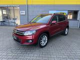 Volkswagen Tiguan Life BMT/SHZ/PANORAMA/KLIMA/ALU/ - VW Tiguan Life Gebrauchtwagen