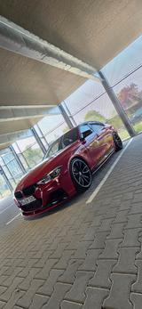 BMW Bmw 335i xDrive  - BMW 335: 335i Xdrive