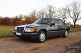 Mercedes-Benz 220 - Mercedes-Benz 220 mit Benzin-Antrieb: Leder