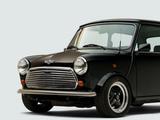 MINI Mini Cooper Mini Klassik DGH Edition SPI R... - MINI Cooper aus 1994