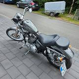 Harley-Davidson Sportster  1200  seventy-two - MOTORRAD SPORT