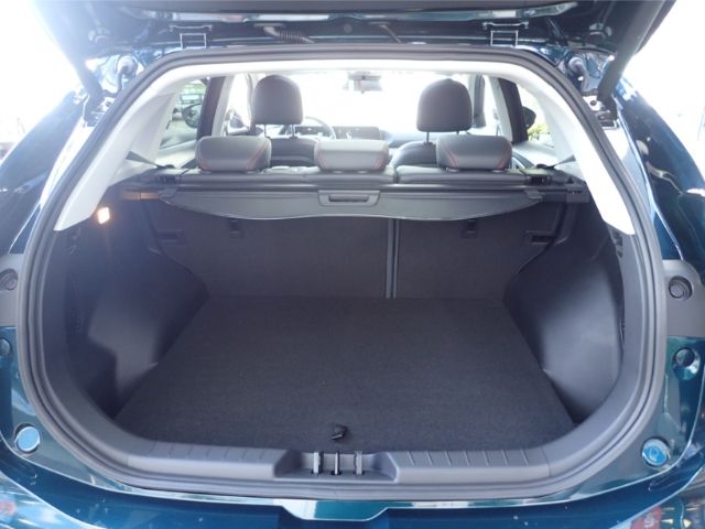 Fahrzeugabbildung DFSK Forthing 5 1.5 PanoD 360Cam SHZ WIFI Totwinkel e